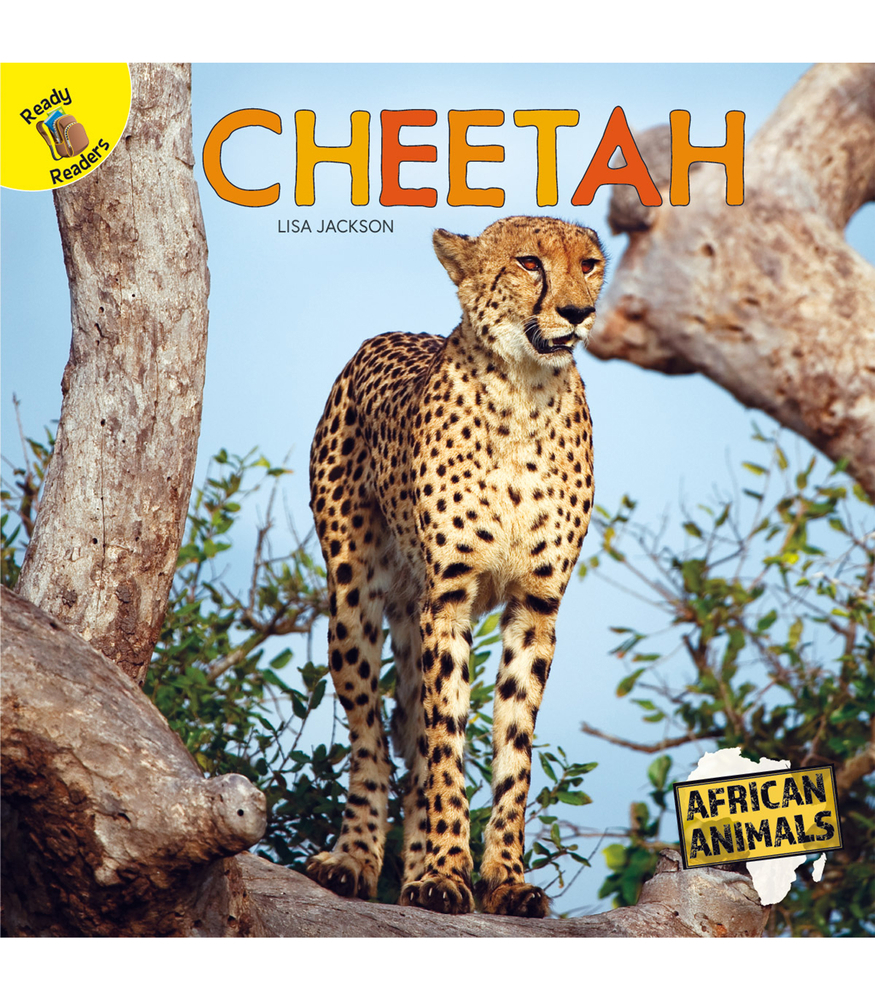Chita: Cheetah book by Lisa Jackson