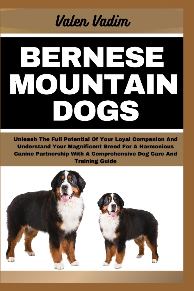 are bernese mountain dogs loyal