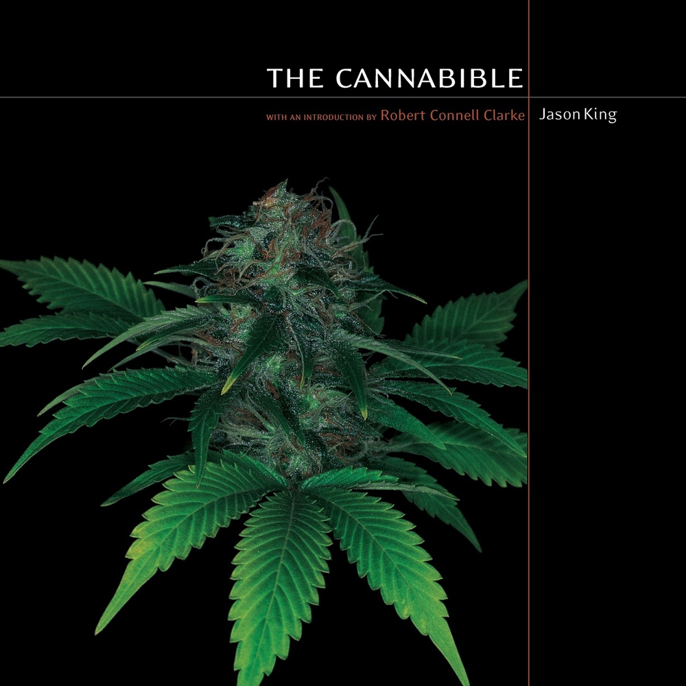 The Cannabible book by Jason King
