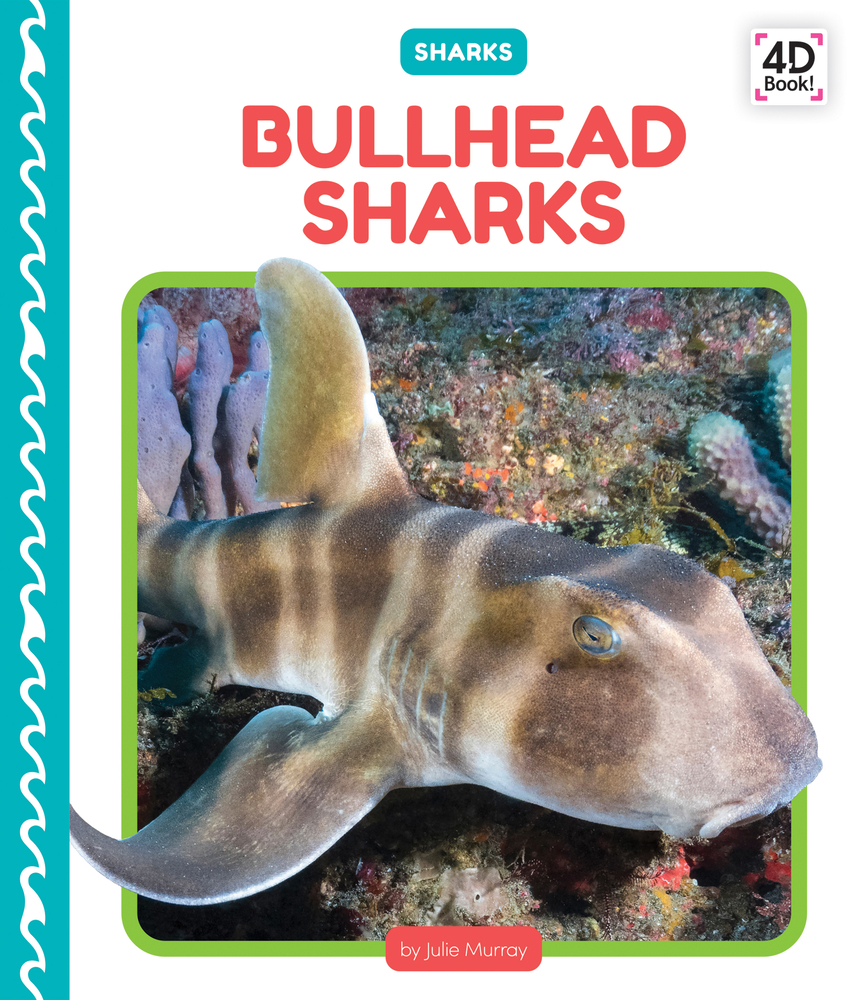 Bullhead Sharks book by Julie Murray, image size:856x1000
