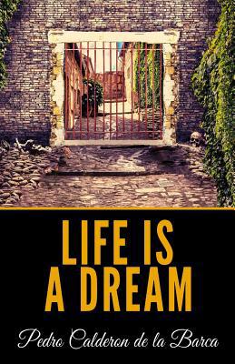 Life Is A Dream 1099108314 Book Cover