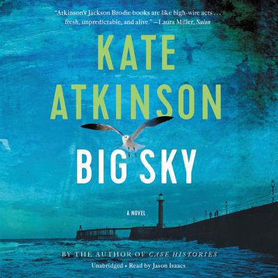 Big Sky 1549169963 Book Cover