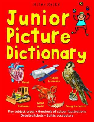 Junior Picture Dictionary 1848104804 Book Cover