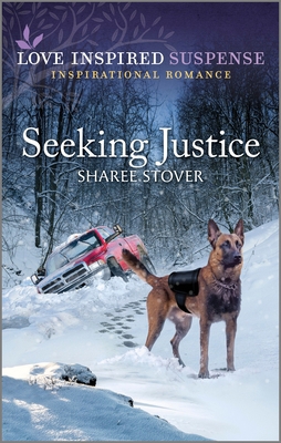 Seeking Justice 1335597654 Book Cover