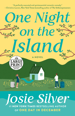 One Night on the Island [Large Print] 059355874X Book Cover