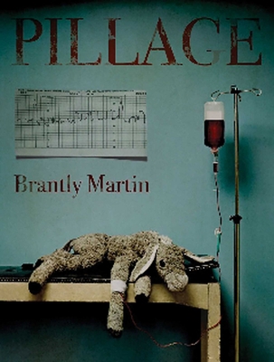 Pillage 1576874958 Book Cover