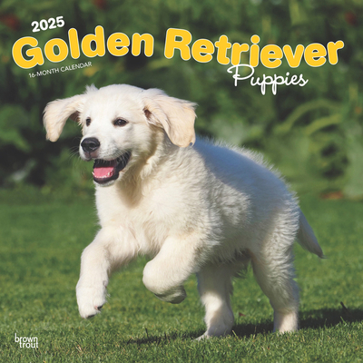 Golden Retriever Puppies 2025 12 X 24 Inch Mont... 1975477065 Book Cover