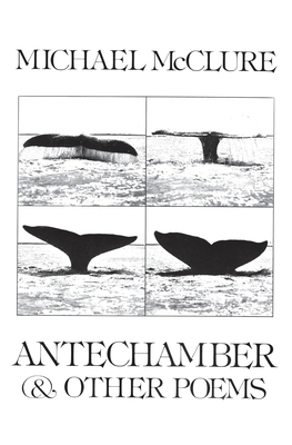 Antechamber: And Other Poems 0811206823 Book Cover