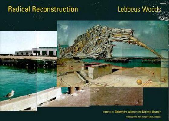 Radical Reconstruction 1568980906 Book Cover