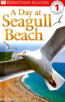 A Day at Seagull Beach 0789440032 Book Cover