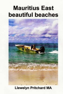 Mauritius East beautiful beaches: En Souvenir I... [Swedish] 1496072944 Book Cover