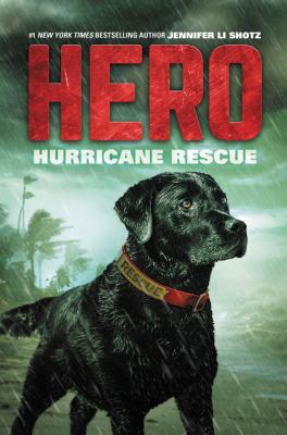 Hurricane Rescue (Hero, 2) 0062791397 Book Cover