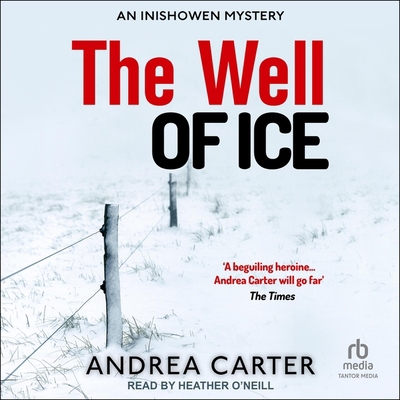 The Well of Ice B0CGTCZYBB Book Cover