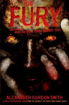 The Fury 0374324956 Book Cover