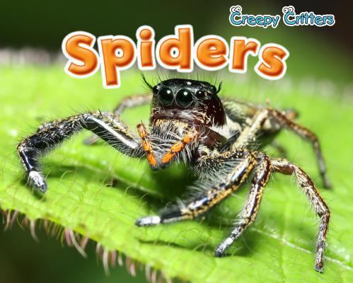 Spiders 1410948102 Book Cover
