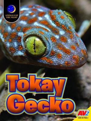 Tokay Gecko B0DGMHTXKZ Book Cover