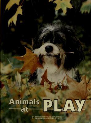 Animals at Play 0870447394 Book Cover