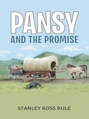 Pansy and the Promise 1490856358 Book Cover