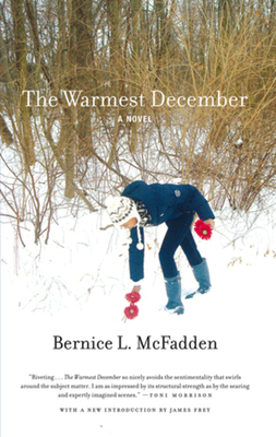 The Warmest December 1617750352 Book Cover