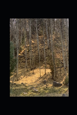 Small Words Fall B08P28W28Y Book Cover