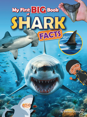 My First Big Book of Shark Facts 1788565134 Book Cover