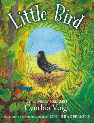 Little Bird 0062996908 Book Cover