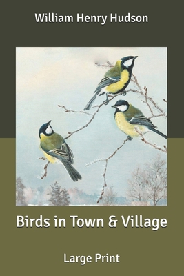 Birds in Town & Village: Large Print B088JHMMB9 Book Cover