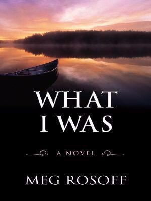 What I Was (Thorndike Press Large Print Core Se... [Large Print] 141040787X Book Cover