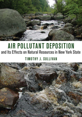 Air Pollutant Deposition and Its Effects on Nat... 150170060X Book Cover