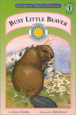 Busy Little Beaver 1592490115 Book Cover