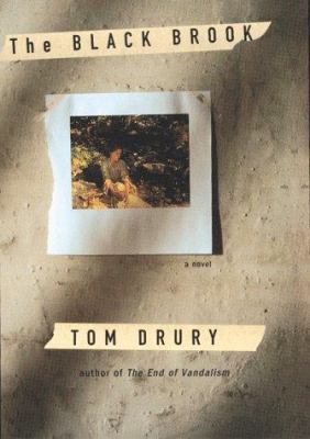 Black Brook 0395701945 Book Cover