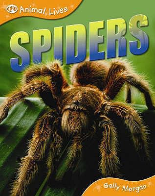 Spiders (QED Animal Lives) 184538301X Book Cover