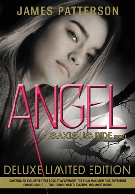 Angel [With Poster] 0316038326 Book Cover