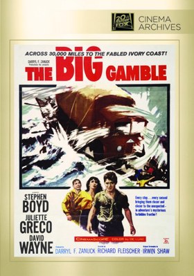 The Big Gamble            Book Cover