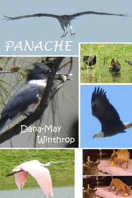 Panache B0BHKV266G Book Cover