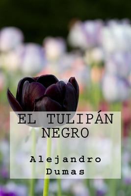 El Tulipan Negro (Spanish Edition) [Spanish] 1539608263 Book Cover