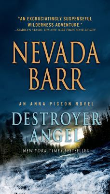 Destroyer Angel 1250058473 Book Cover