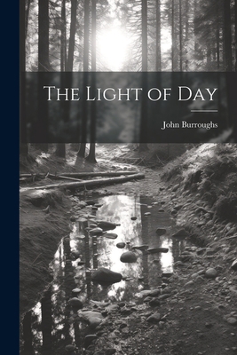 The Light of Day 1022004379 Book Cover