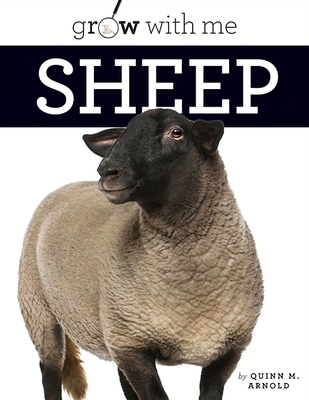 Sheep 1628327979 Book Cover