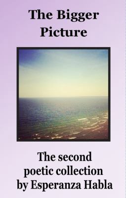 The Bigger Picture: the second poetic collection 0991510437 Book Cover