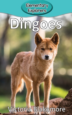 Dingoes 1948388294 Book Cover