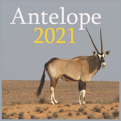 Antelope: 2021 Wall & Office Calendar, 12 Month Calendar