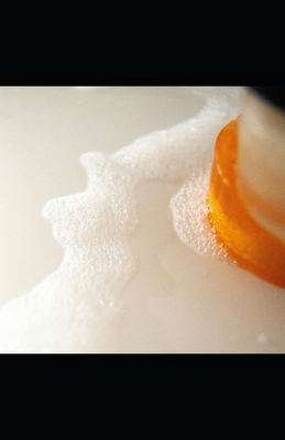 Skip The Bubble and Collect 14% Dividend With IWMI B0G1CNQH6V Book Cover