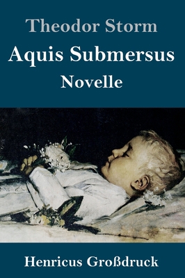 Aquis Submersus (Großdruck): Novelle [German] 384784248X Book Cover