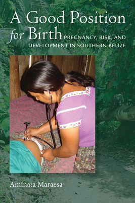 Good Position for Birth: Pregnancy, Risk, and D... 0826522017 Book Cover