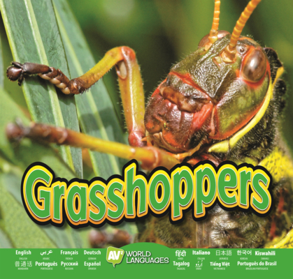 Grasshoppers B0GMZ9C8JG Book Cover