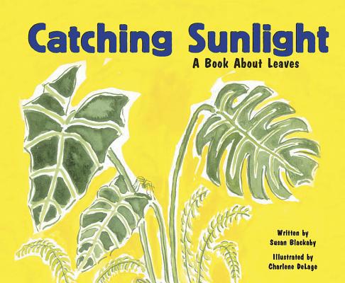 Catching Sunlight: A Book about Leaves 1404803874 Book Cover