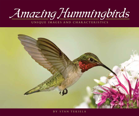 Amazing Hummingbirds: Unique Images and Charact... 1591932467 Book Cover