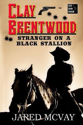 Stranger on a Black Stallion 0692769420 Book Cover