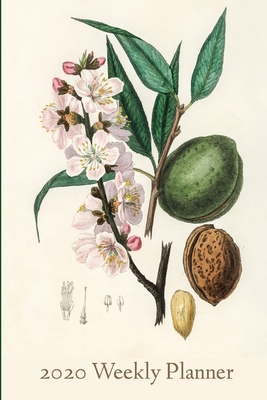 Paperback 2020 Weekly Planner: 2020 Weekly Planner for Almond Farmers and Growers Book